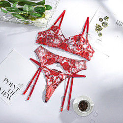 Lace Tassel Sexy Lingerie Underwear Embroidered Perspective Mature Sexy Long Nightgown