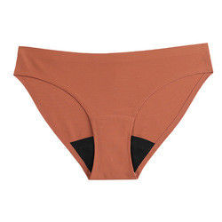 S-XL Leakproof Period Panties Underwear Seamless Leopard Knitted Ice Silk