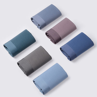 100S Modal Double Sided Seamless Mens Pants Mid Waist Square Angle Ice Silk Inner Men'S Underwear